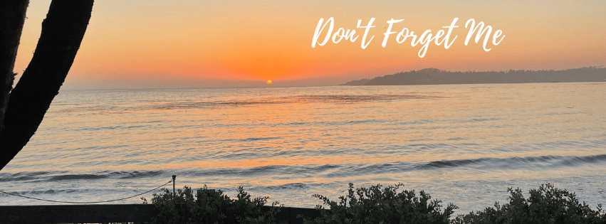 Bask in light with Maggie Rogers’ “Don’t Forget&nbsp;Me”